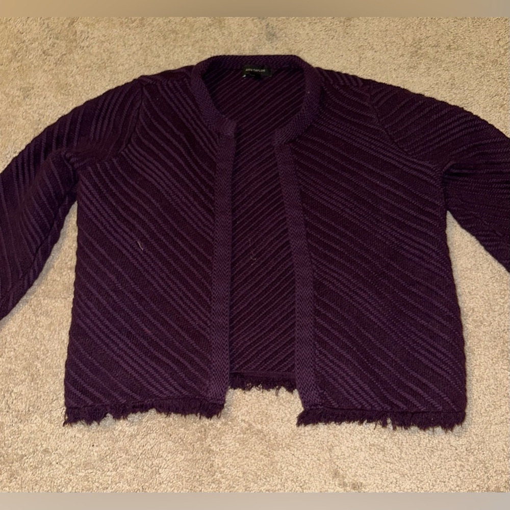 cute and comfy velvet colored Ann Taylor sweater